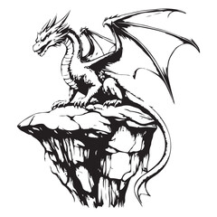 dragon standing on a rock vector image