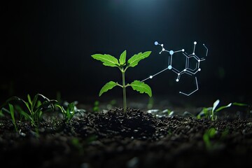 Young plant in dark soil, illuminated, with overlaid molecular structure