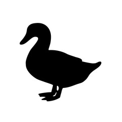 silhouette of a duck looking for food