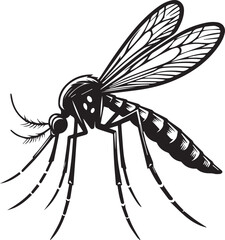 Black and White Illustration of Mosquito Vector – High-Quality Line Art for Scientific Use