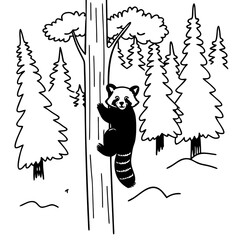 bear in the forest