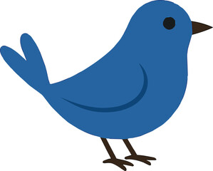 blue bird on a branch