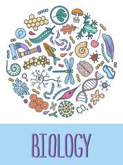Biology doodle poster. Collection of colorful hand drawn elements science biology. Vector illustration in circle composition
