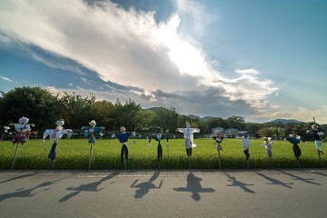 田んぼに並ぶ案山子と伸びる影