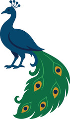peacock vector illustration