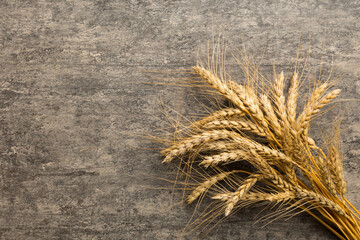 Sheaf of wheat ears close up and seeds on colored background. Natural cereal plant, harvest time...