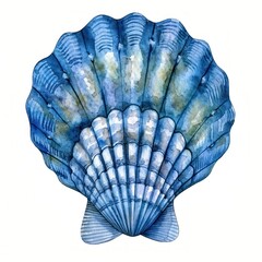 Fototapeta na wymiar Blue watercolor seashell illustration