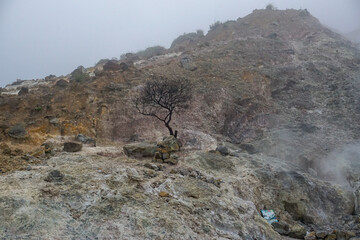 Volcanic landscape with steaming vents and barren terrain