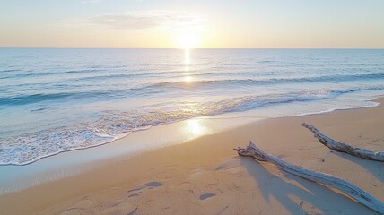 Golden Sunset Beach Scene with Driftwood and Gentle Waves beach waves sunset driftwood ocean sea sky