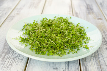 Fresh green broccoli microgreens on a white plate. Healthy sprout plant ingredient for vegan and vegetarian nutrition food. Top view of edible seedling.