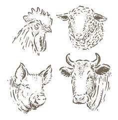 four farm animals vector sketch illustrations