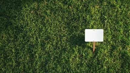 white recycle sign on green grassy background