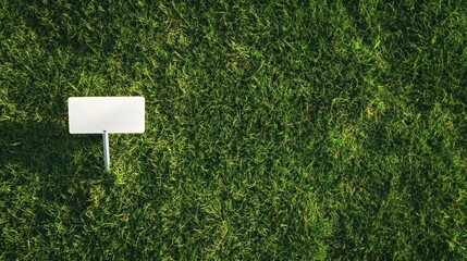 white recycle sign on green grassy background