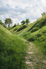 Walking trail in lush green canyon