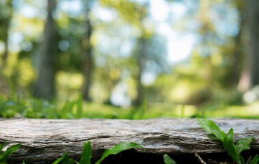 A empty wooden board with a beautiful blurred background of green bokeh nature, for showcasing your...