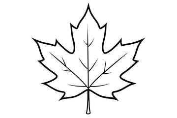 maple leaf line art vector icon