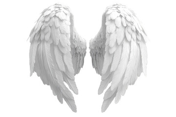 Pair of white angelic wings isolated on black background