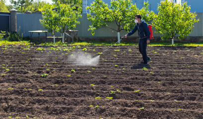 treat the garden from weeds. Selective focus.