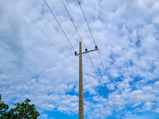 Obraz premium Network of electric cables on power poles with blue sky in the afternoon