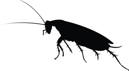 Cockroach silhouette vector Cockroach black clip art.eps