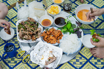 Delicious Asian feast featuring various dishes enjoyed outdoors on a vibrant mat during a casual gathering