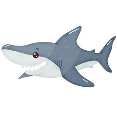 Cute shark cartoon shark species cartoon