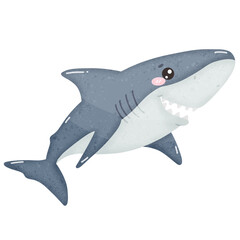 Cute shark cartoon shark species cartoon