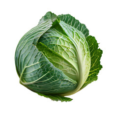 Obraz premium Fresh Green Cabbage Isolated on White Background