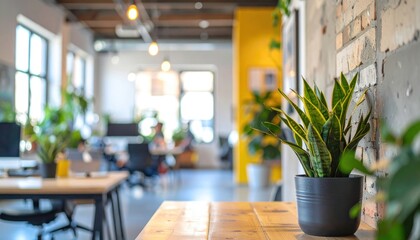 Office with plant, bright walls, & brick texture; people blurred in the background