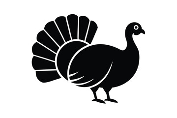 Obraz premium vector illustration of turkey