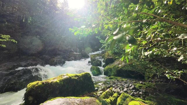 Crystal clear water descending between stones and vegetation in mountain forest, 4K video at the Fuente de Fornos, Badain, A&iacute;nsa, Huesca, Aragonese Pyrenees, without people or human intervention.
