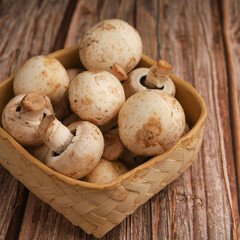 Champignon mushroom on white background