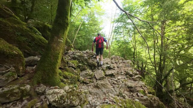 Man walking on forest trail illuminated by natural light in spring, 4K video at Fuente de Fornos, Badain, A&iacute;nsa, Huesca, Aragonese Pyrenees, quiet trekking experience
