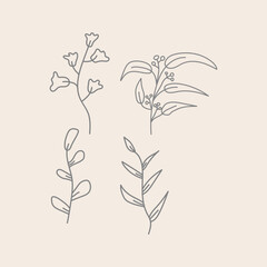 logo icon set abstract ornamental plant leaves