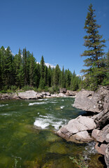 Obraz premium Altai river Chulyshman with boulders in the water. On the river banks there is siberian larch taiga forest.