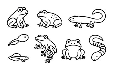 Fototapeta premium Frogs and amphibians outline collection for educational and design use