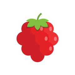 Raspberry fruit icon in flat style. Raspberries berry vector illustration on isolated background. Nature snack sign business concept.
