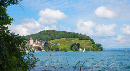 view of tourist resort Spiez with castle and vineyard beside, landscape Bernese Oberland.