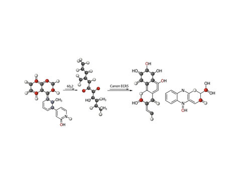 Organic Chemistry Reaction Mechanism