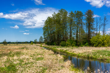 Piękno Krainy Górnej Narwi, Podlasie, Polska