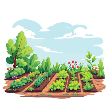 Vsai lush vegetable garden growing under blue sky on sunny day