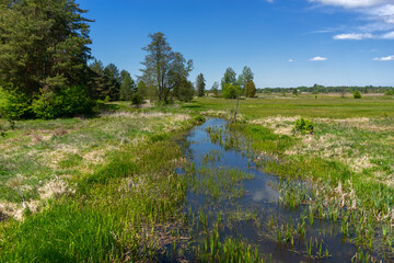 Piękno Krainy Górnej Narwi, Podlasie, Polska