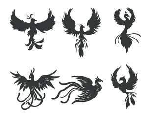 Phoenix bird silhouette vector illustration