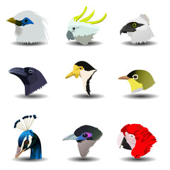 Set icon of birds head.