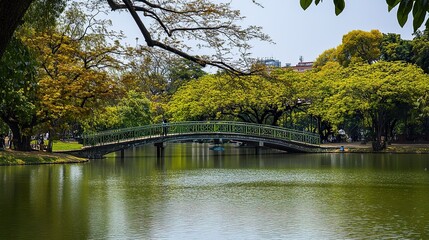 bridge over the river