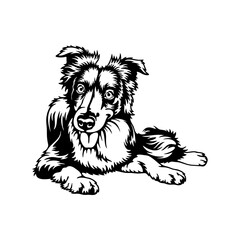 Obraz premium Border Collie Dog Breed - Pet Vector Cut file, Dog Silhouette Stencil - Cricut file