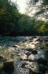 Rivière le Loup, 06, Alpes Maritimes, France