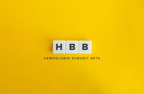 HBB, Hemoglobin subunit beta