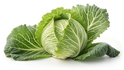 Obraz premium Fresh Green Cabbage Head Isolated on White