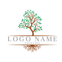 Obraz premium Elegant logo design featuring a leafy tree with visible roots and placeholder text symbolizing growth, nature and stability